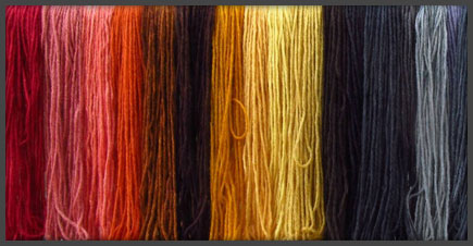 Mushroom dye samples