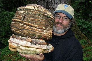 Paul Stamets